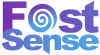 Fast Sense H2 Logo